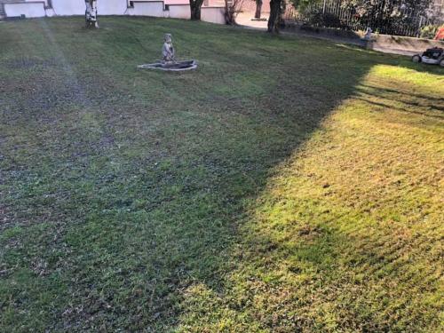 arieggiatura-prato-1