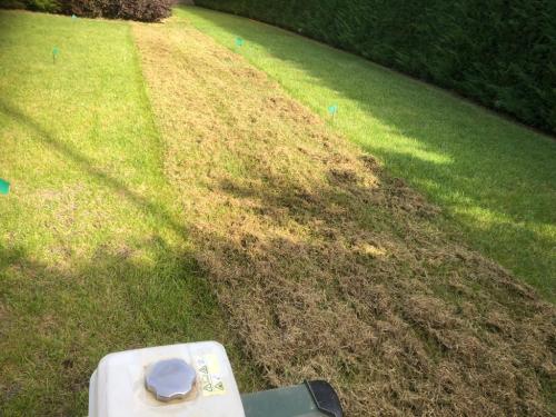 fase-arieggiare-prato