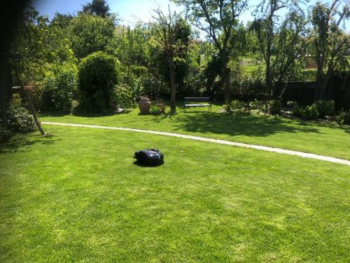 giardino-robot-rasaerba