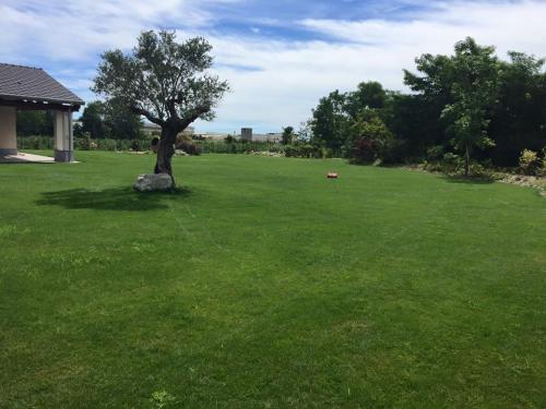 grande-giardino-tagliaerba-ambrogio