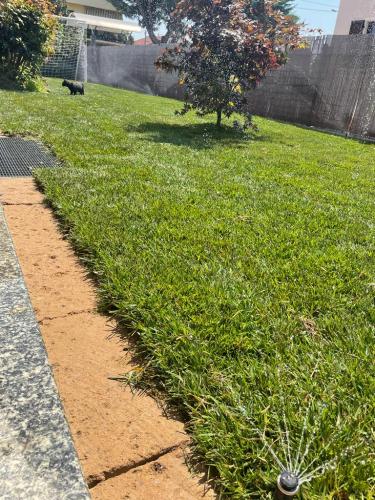 impianto-irrigazione-attivo