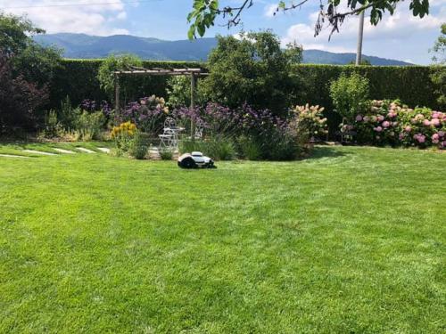 lavorando-in-mezzo-fiori-ambrogio