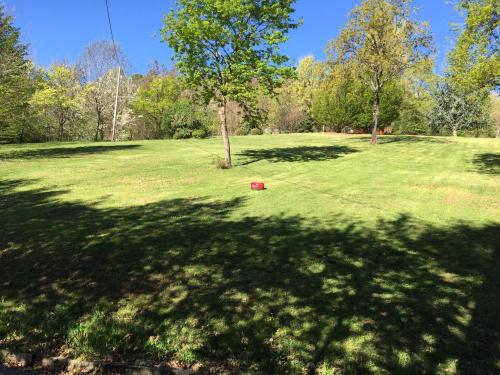 lavoro-tagliaerba-giardino