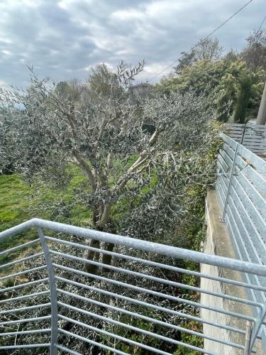 manutenzione-condominio-potatura-alberi-1