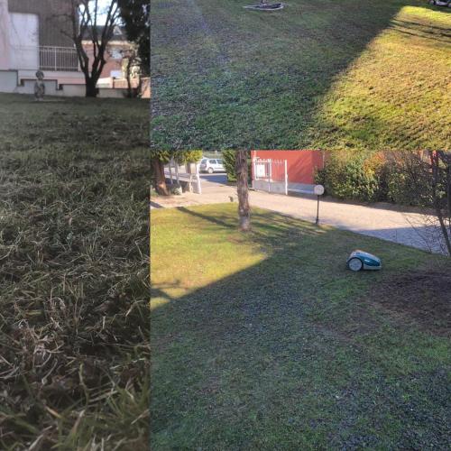 mix-foto-arieggiare-prato