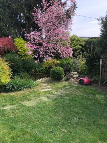 parco-rasaerba-ambrogio