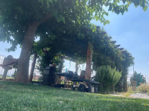 pergolato-in-legno-laterale