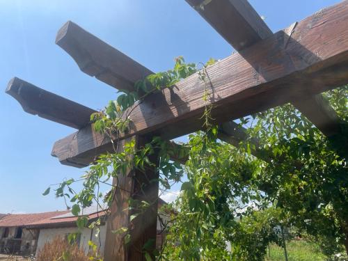 pergolato-in-legno-perticolare