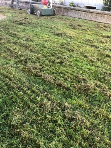 prato- arieggiare-in-lavorazione