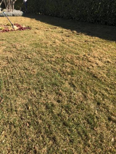 prato-da-arieggiare-2