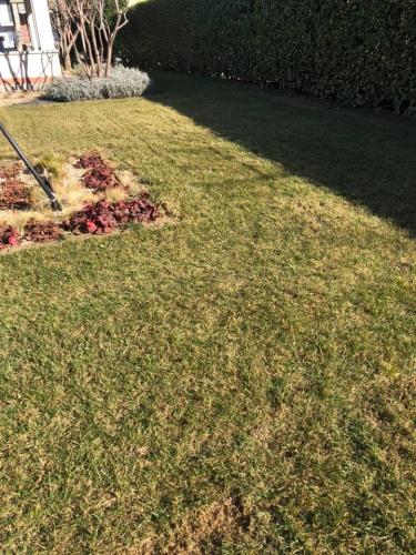 pulitura-terreno-primavera-arieggiatura