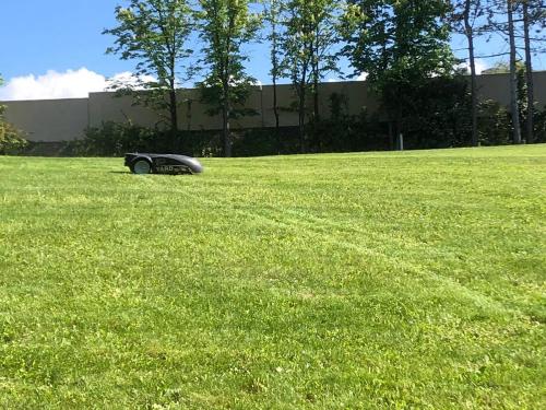 rasaerba-ambrogio-lavoro