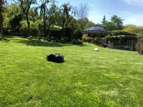 rasaerba-tagliarba-collina