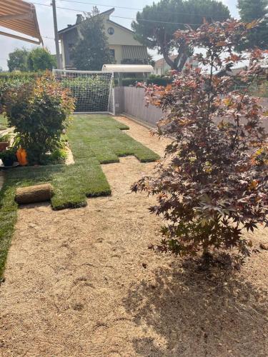 rifacimento-prato-prato-in-zolle