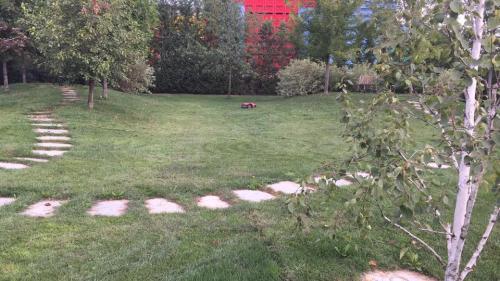 sali-scendi-tagliando-erba