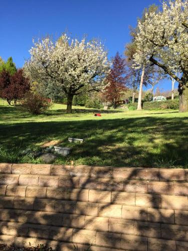 tagliaerba-collina-giardino-ambrogio