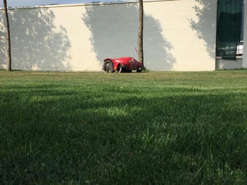 tagliaerba-robottino-ambrogio